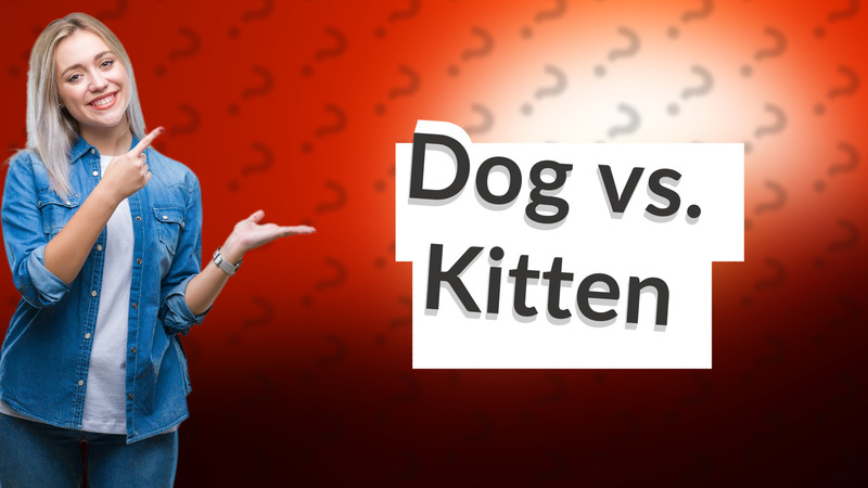 Dog vs. Kitten