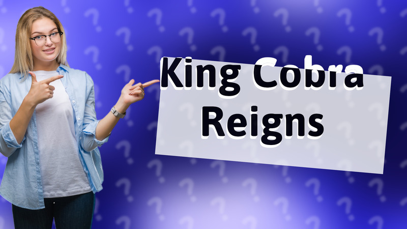 King Cobra Reigns