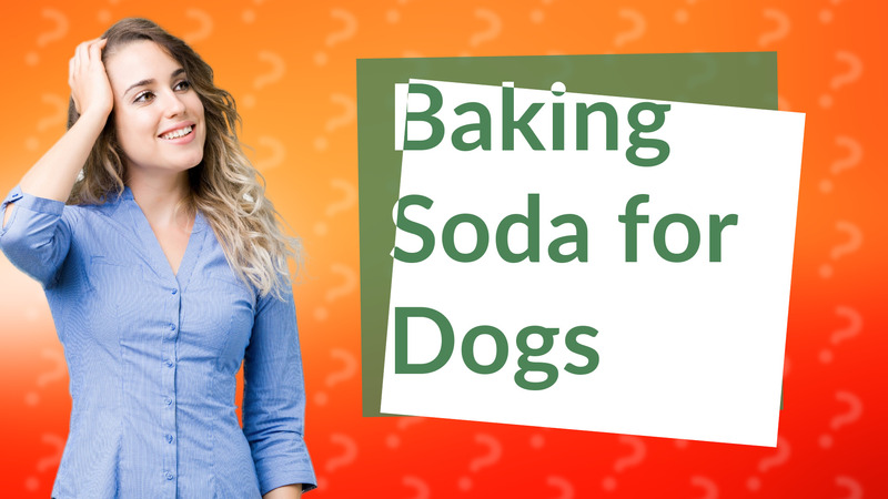 Baking Soda for Dogs
