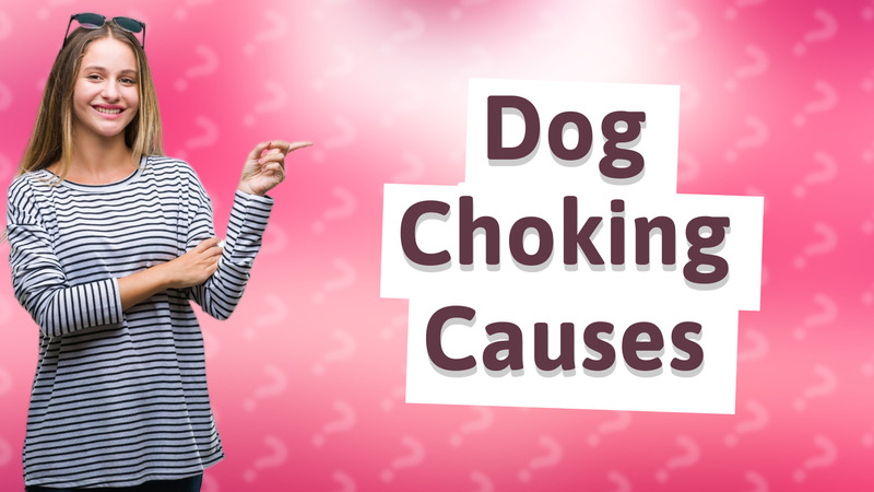Dog Choking Causes