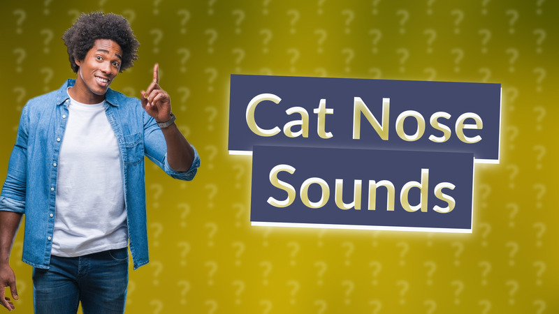 Cat Nose Sounds