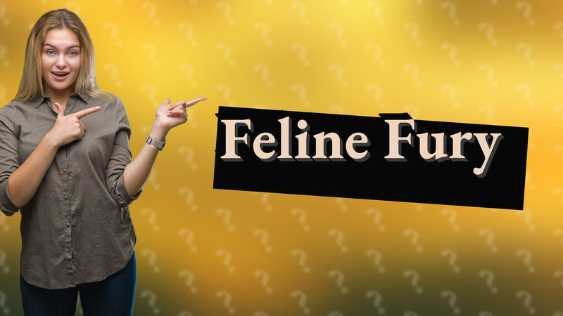 Feline Fury