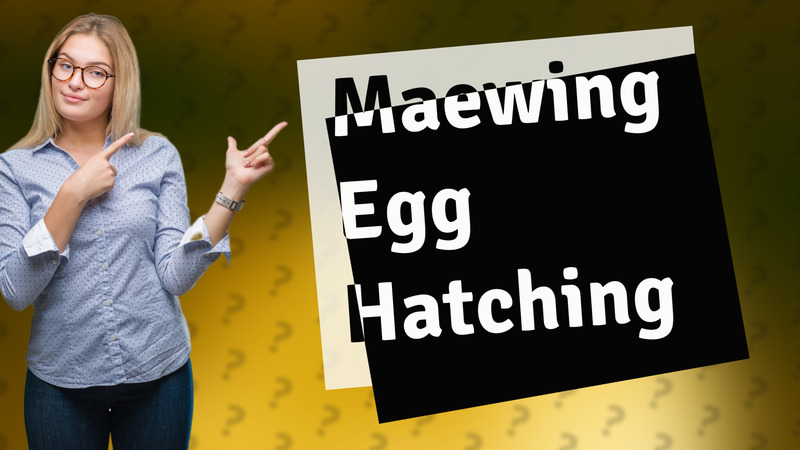 Maewing Egg Hatching