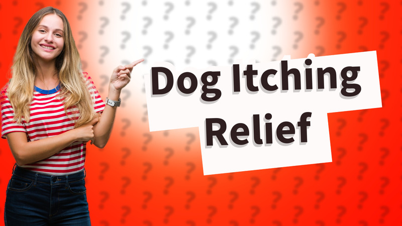 Dog Itching Relief