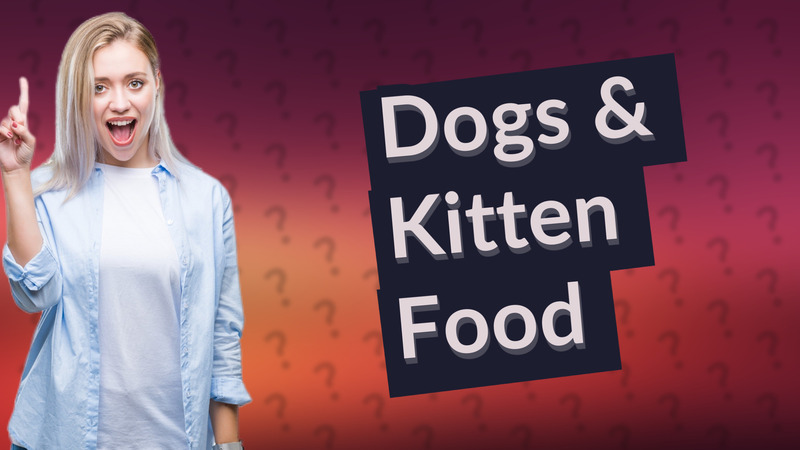 Dogs & Kitten Food
