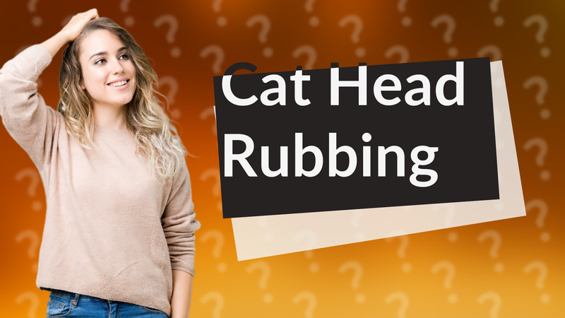 Cat Head Rubbing