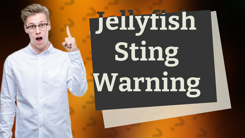 Jellyfish Sting Warning