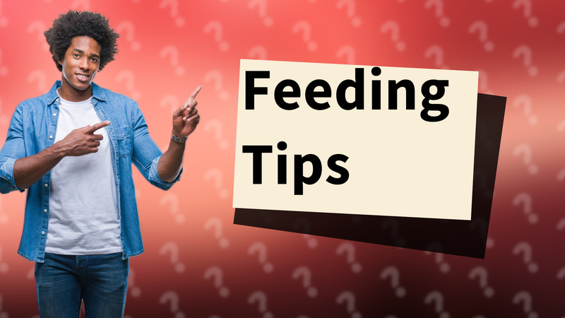 Feeding Tips