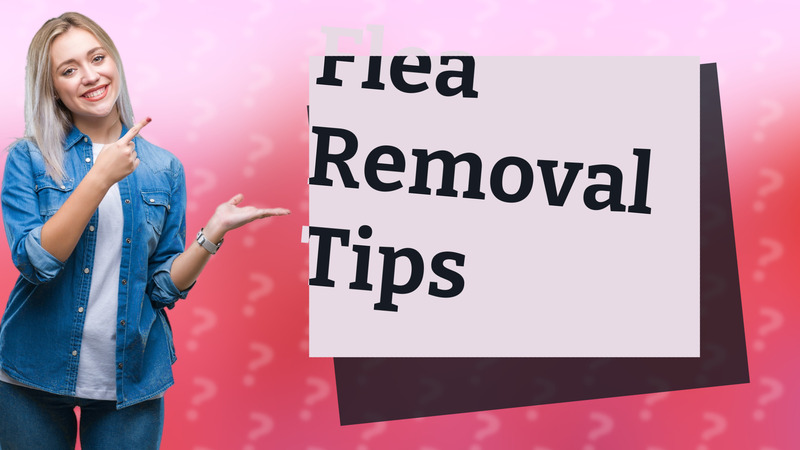 Flea Removal Tips