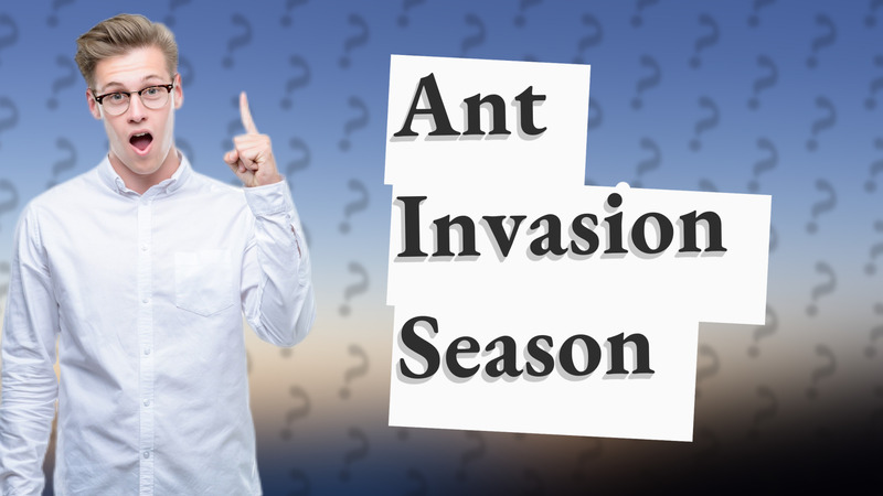 Ant Invasion Season