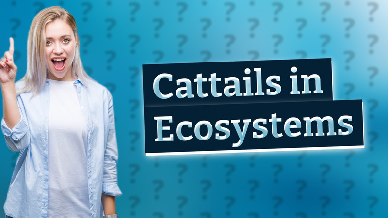 Cattails in Ecosystems
