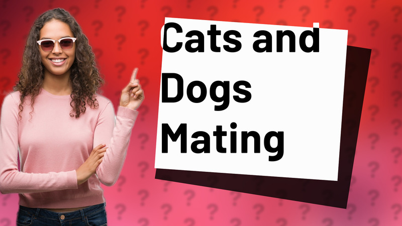 Cats and Dogs Mating