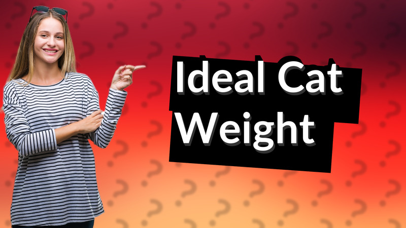 Ideal Cat Weight