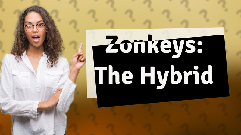 Zonkeys: The Hybrid