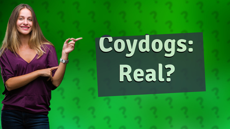 Coydogs: Real?