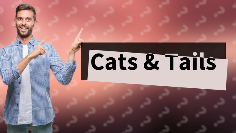 Cats & Tails