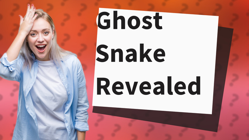 Ghost Snake Revealed