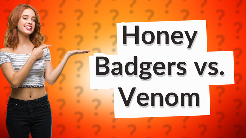 Honey Badgers vs. Venom