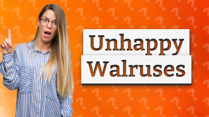 Unhappy Walruses