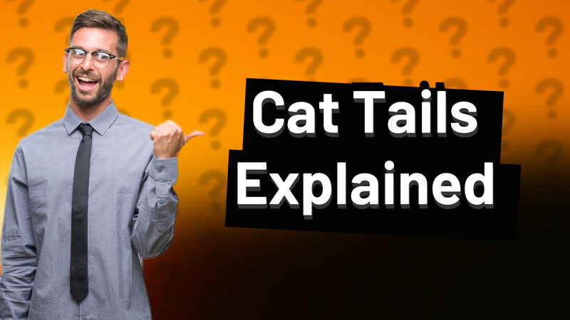 Cat Tails Explained