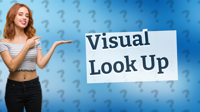 Visual Look Up