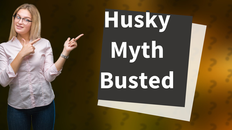 Husky Myth Busted