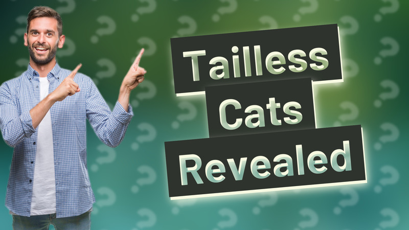 Tailless Cats Revealed
