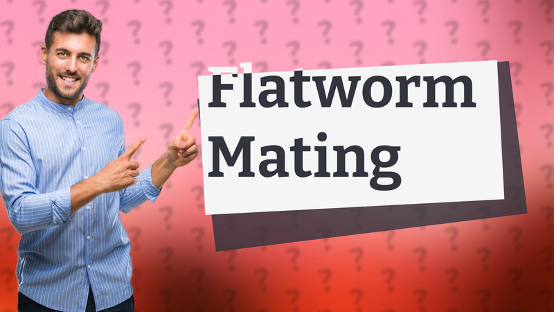 Flatworm Mating