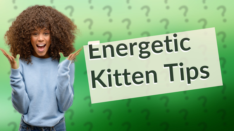 Energetic Kitten Tips