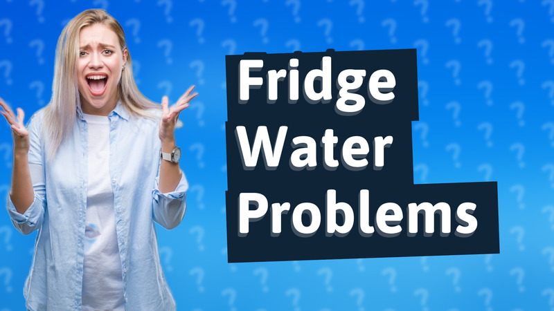 Fridge Water Problems