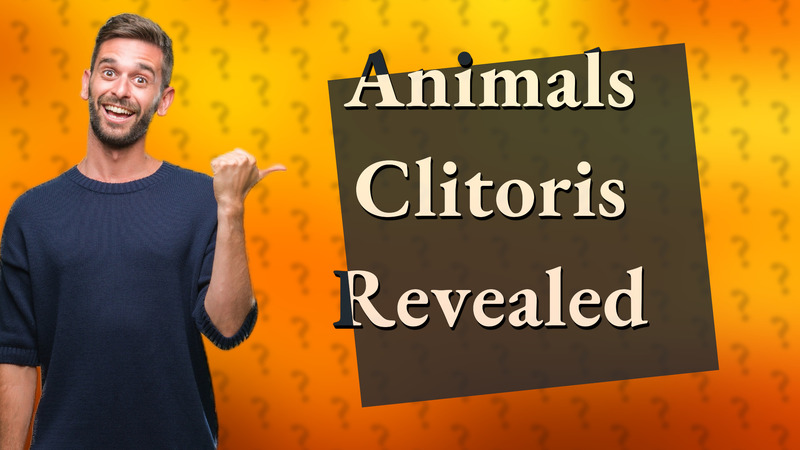 Animals Clitoris Revealed