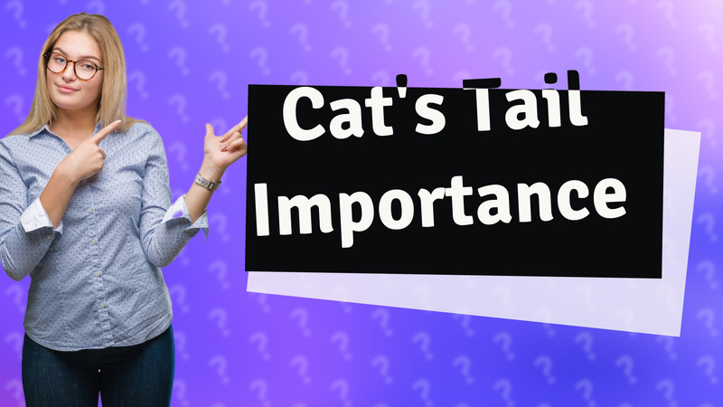 Cat's Tail Importance