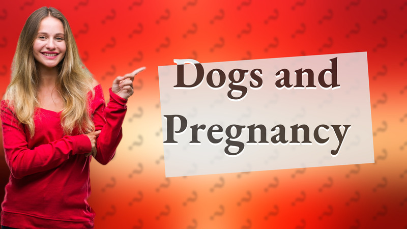 Dogs and Pregnancy