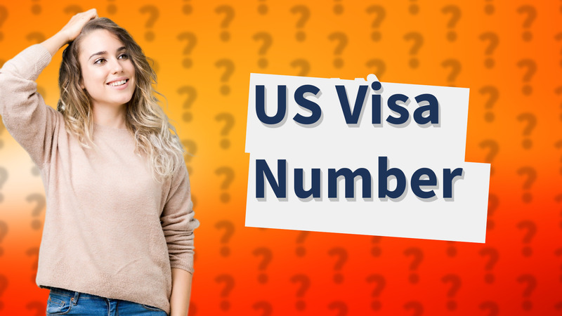 US Visa Number