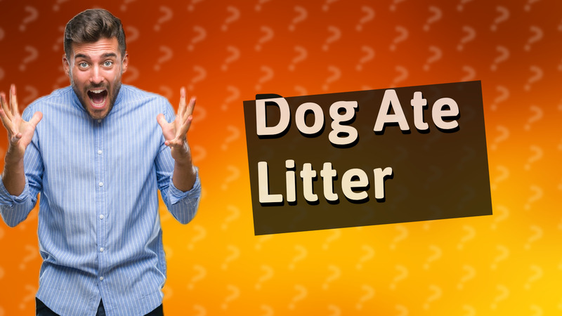 Dog Ate Litter
