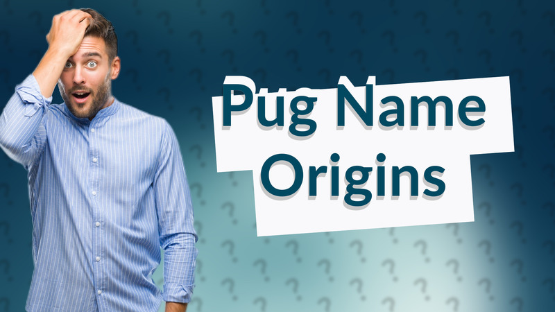 Pug Name Origins