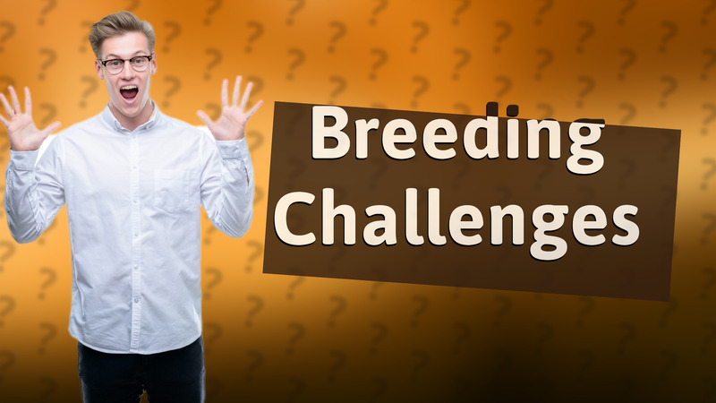 Breeding Challenges