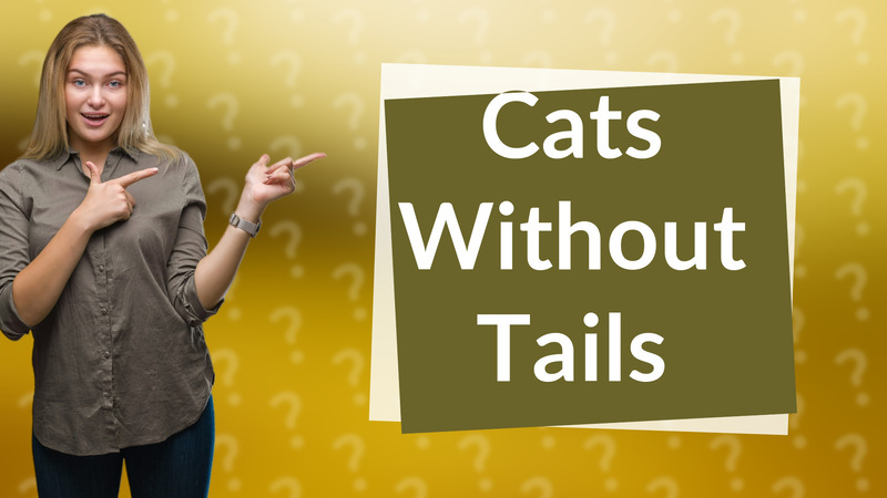 Cats Without Tails