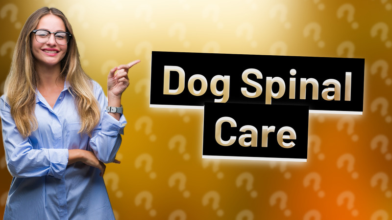 Dog Spinal Care