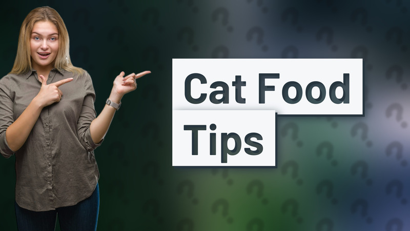 Cat Food Tips