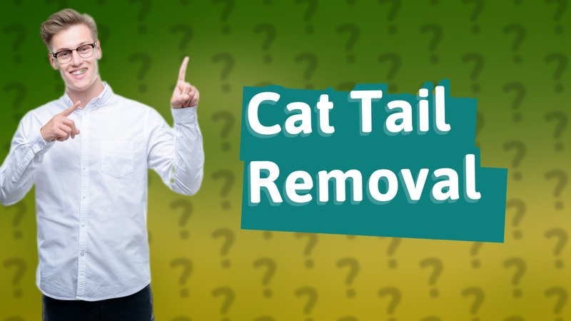 Cat Tail Removal