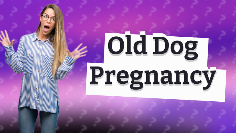 Old Dog Pregnancy