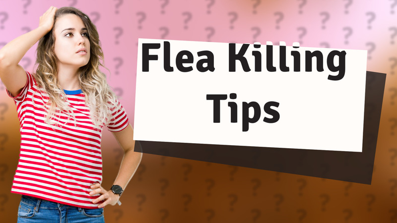 Flea Killing Tips