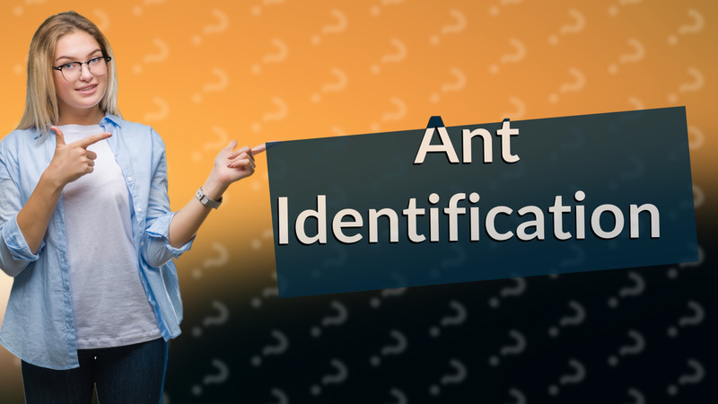 Ant Identification