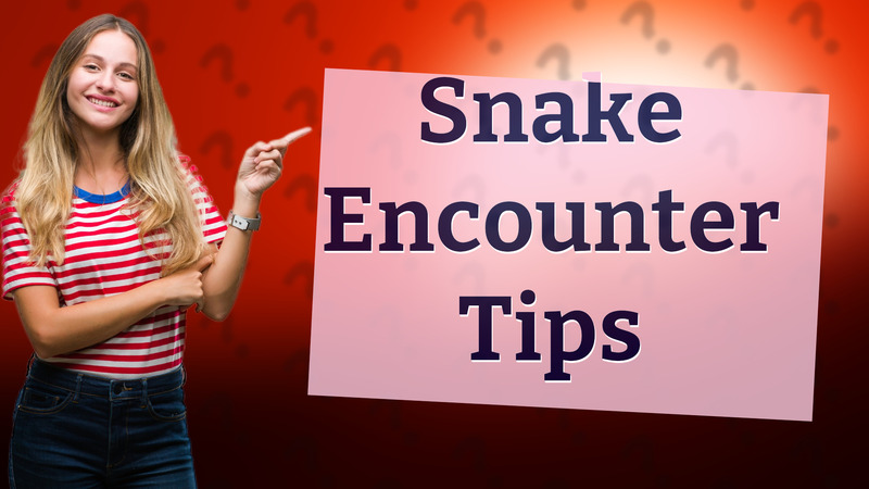Snake Encounter Tips
