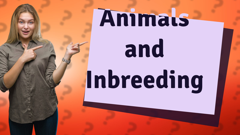 Animals and Inbreeding