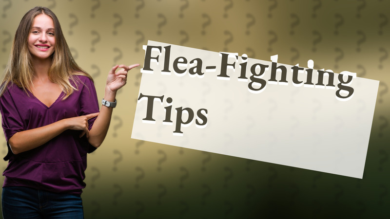 Flea-Fighting Tips