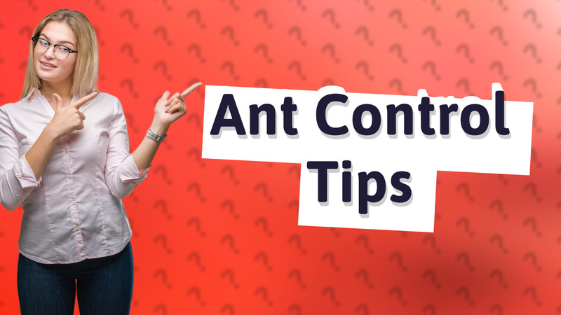 Ant Control Tips