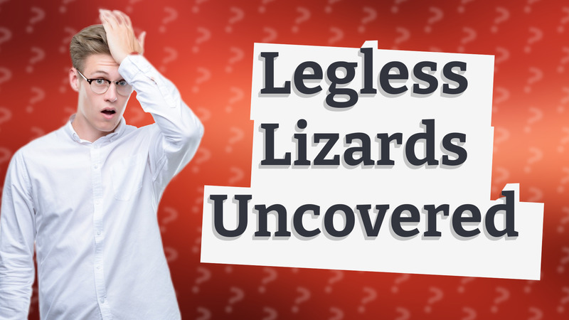 Legless Lizards Uncovered