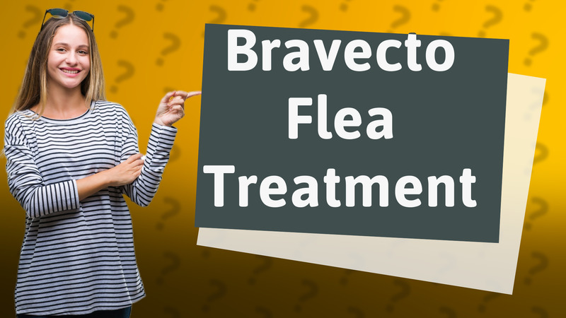 Bravecto Flea Treatment
